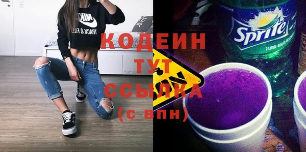 молекула духа Краснослободск