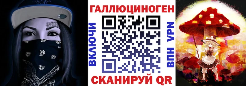 Галлюциногенные грибы Psilocybe  Весьегонск 