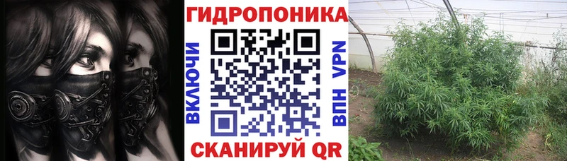 hydra ссылка  Весьегонск  Канабис марихуана 